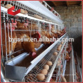 Heng Shui Poultry Chicken Egg Production Equipment For Sale